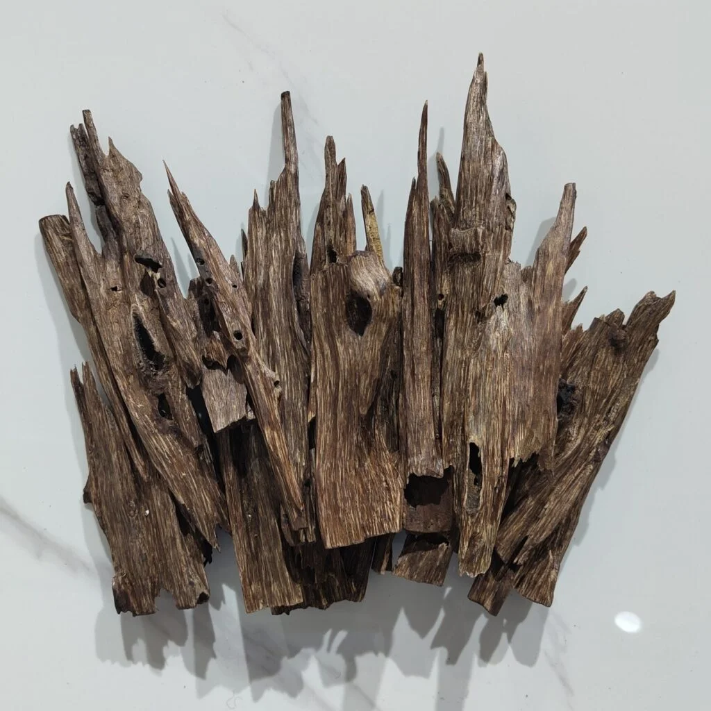 Royal Oud